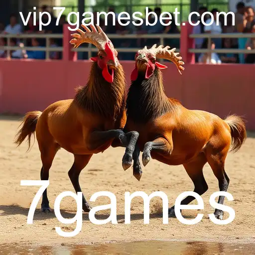 Rinha de galos